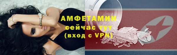 прущие грибы Абинск