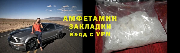 прущие грибы Абинск