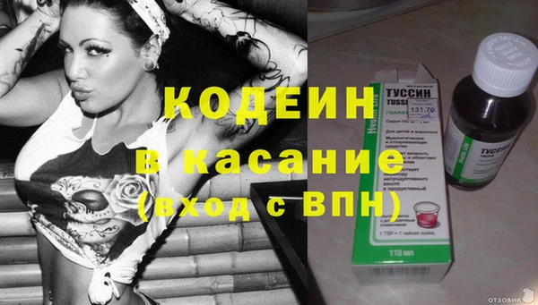 прущие грибы Абинск
