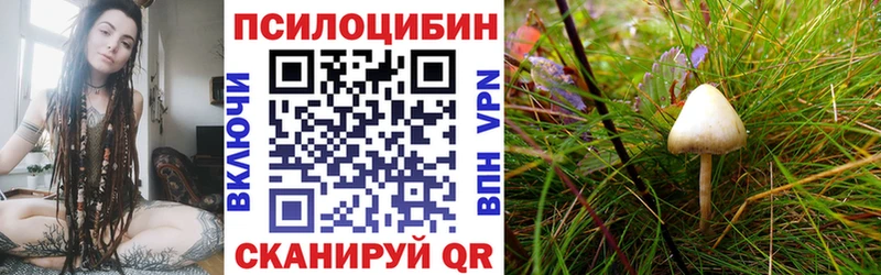 Галлюциногенные грибы Psilocybe  Щёкино 